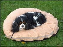 Memory Foam Pet Beds &amp; Loungers-orthopaedic <em>From &pound;24.99</em>
